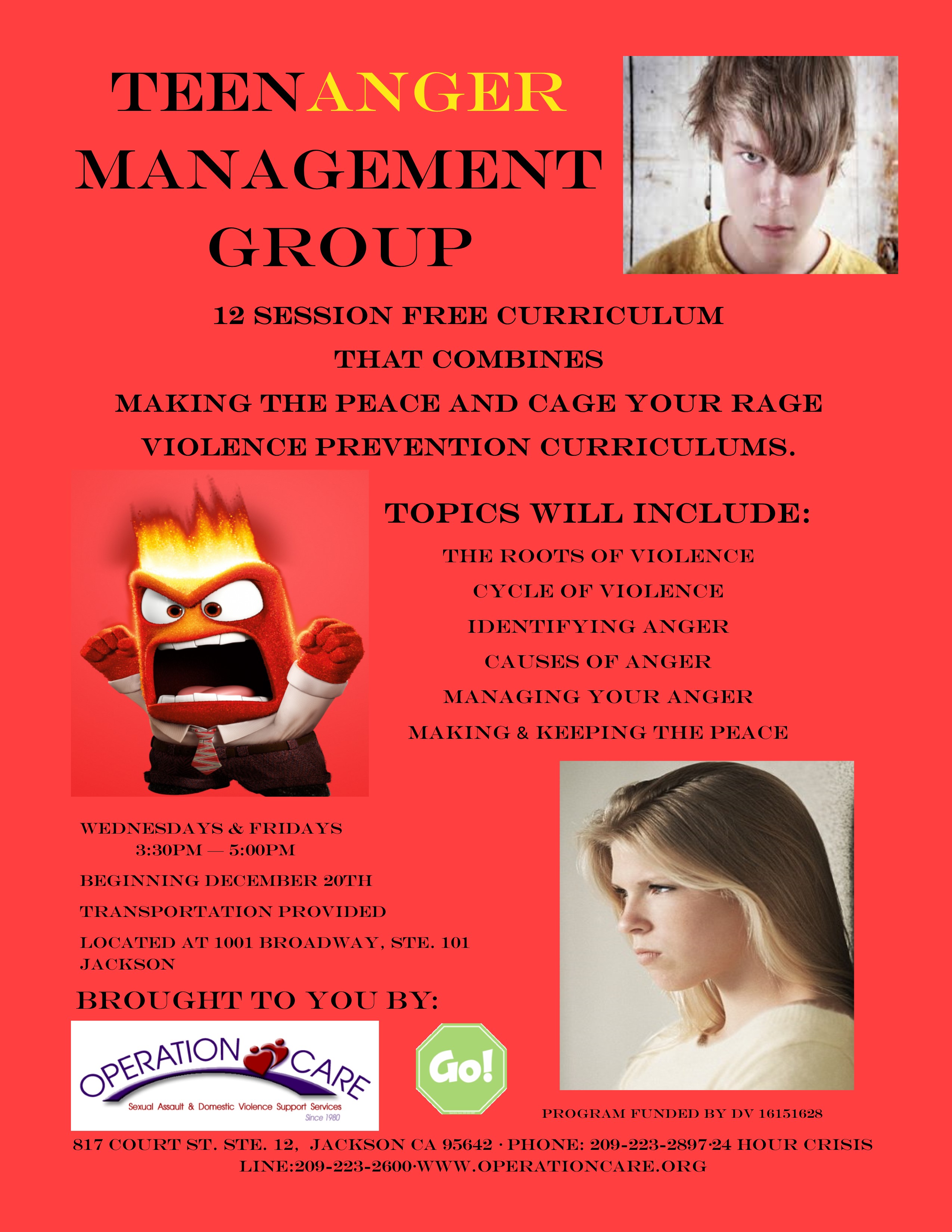 Group Anger Management 107